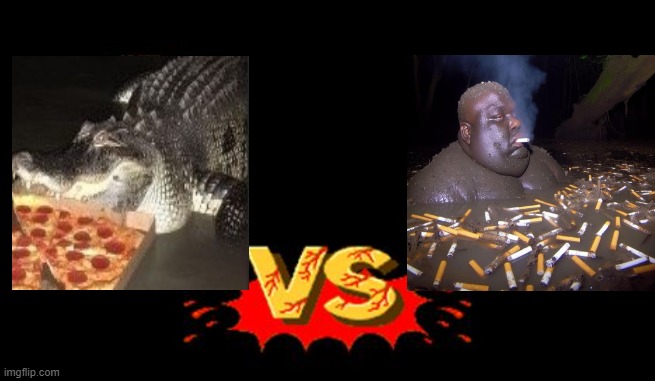 PizzaGator VS FloridaMan Street Fighter | image tagged in street fighter | made w/ Imgflip meme maker