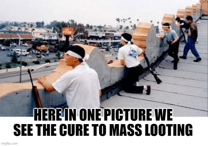You loot we shoot, it really is the only thing they understand. | HERE IN ONE PICTURE WE SEE THE CURE TO MASS LOOTING | image tagged in political meme,truth,the cure,looting,funny memes,stupid liberals | made w/ Imgflip meme maker