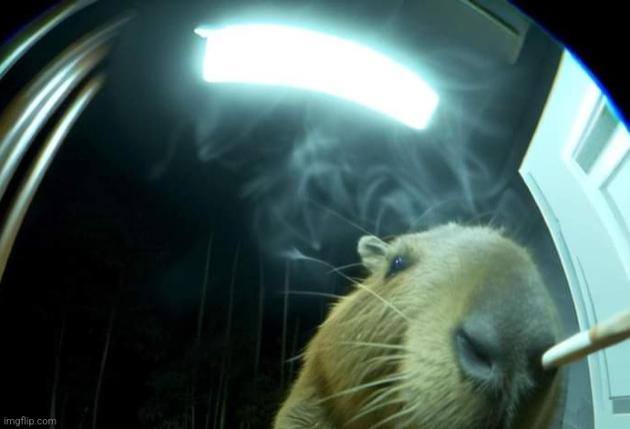 WHY HE ON MY PORCH AGAIN AND WHY HE SMOKING MY CIGARETTES WITH HIS NOSE!!! UNBELIEVABLE | made w/ Imgflip meme maker