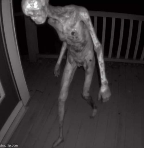 WHY THER A,GHUL ON MY PORCH!! NO GHULS ALOUD ONLY SMOOTHSKINS HERE | made w/ Imgflip meme maker