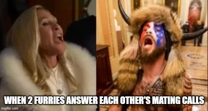 Right Wing Furries | WHEN 2 FURRIES ANSWER EACH OTHER'S MATING CALLS | image tagged in politics | made w/ Imgflip meme maker