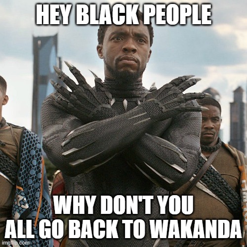 Wakanda Forever | HEY BLACK PEOPLE; WHY DON'T YOU ALL GO BACK TO WAKANDA | image tagged in wakanda forever | made w/ Imgflip meme maker