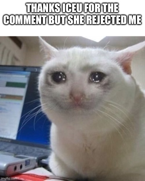 Please see this | THANKS ICEU FOR THE COMMENT BUT SHE REJECTED ME | image tagged in crying cat | made w/ Imgflip meme maker