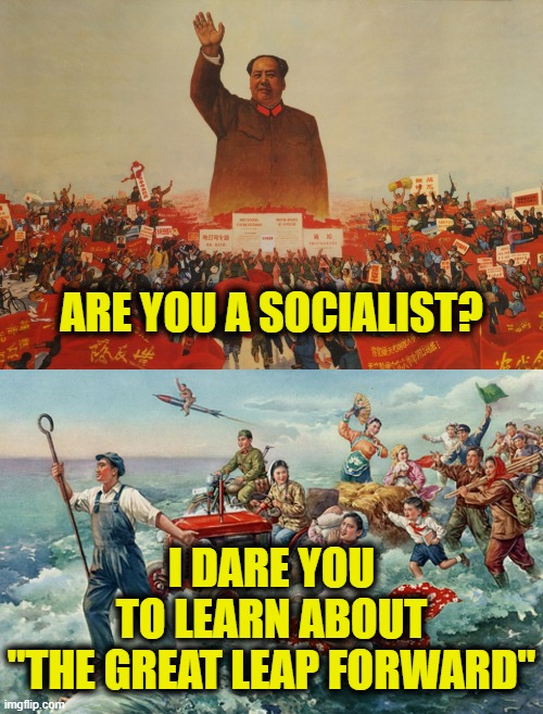History is the cure | ARE YOU A SOCIALIST? I DARE YOU
TO LEARN ABOUT
"THE GREAT LEAP FORWARD" | image tagged in socialism | made w/ Imgflip meme maker