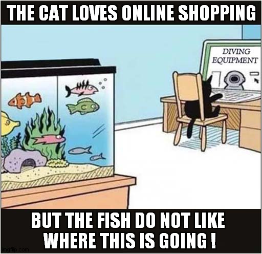 There May Be Trouble Ahead ! | THE CAT LOVES ONLINE SHOPPING; BUT THE FISH DO NOT LIKE
 WHERE THIS IS GOING ! | image tagged in cats,fish,diving | made w/ Imgflip meme maker