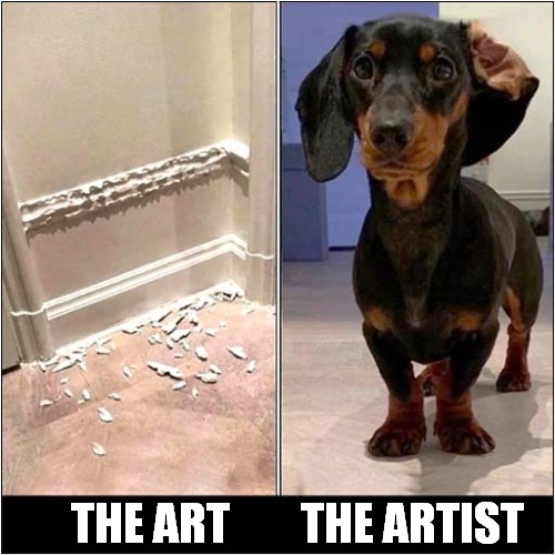 Artistic Destruction ! | THE ART        THE ARTIST | image tagged in dogs,art,destruction | made w/ Imgflip meme maker