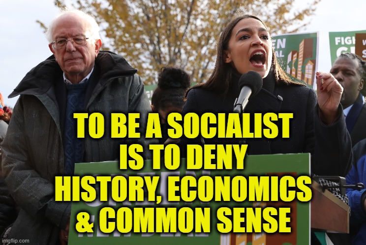 Socialist hate reality | TO BE A SOCIALIST
IS TO DENY
HISTORY, ECONOMICS
& COMMON SENSE | image tagged in socialism | made w/ Imgflip meme maker
