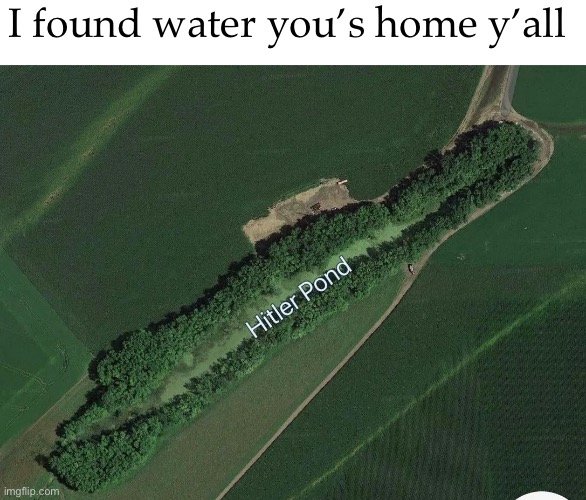 I found water you’s home y’all | image tagged in hitler pond | made w/ Imgflip meme maker