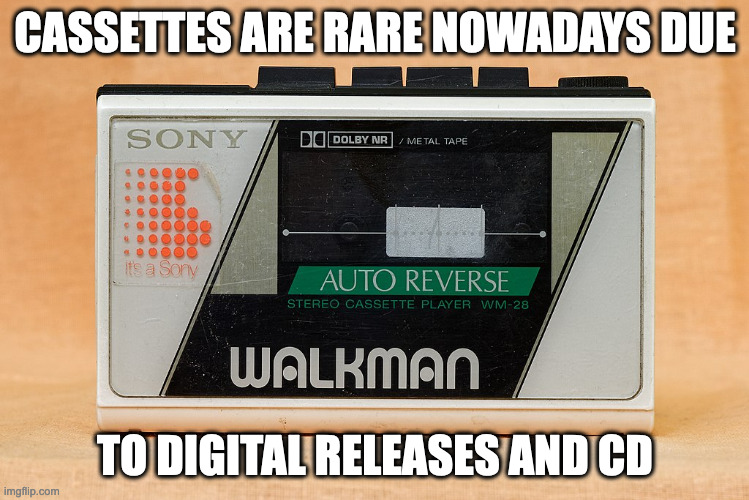Classic Cassette Walkman | CASSETTES ARE RARE NOWADAYS DUE; TO DIGITAL RELEASES AND CD | image tagged in walkman,memes | made w/ Imgflip meme maker