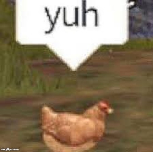 yuh chicken | image tagged in yuh chicken | made w/ Imgflip meme maker