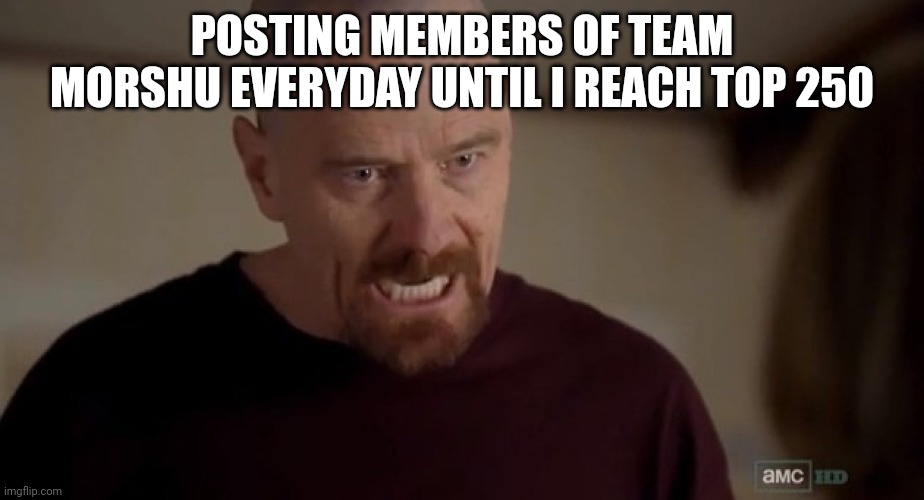 Day 23 | POSTING MEMBERS OF TEAM MORSHU EVERYDAY UNTIL I REACH TOP 250 | image tagged in i am the one who knocks | made w/ Imgflip meme maker