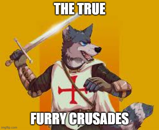 The True Furry Crusades | THE TRUE; FURRY CRUSADES | image tagged in furry crusader,furry,pro-furry | made w/ Imgflip meme maker