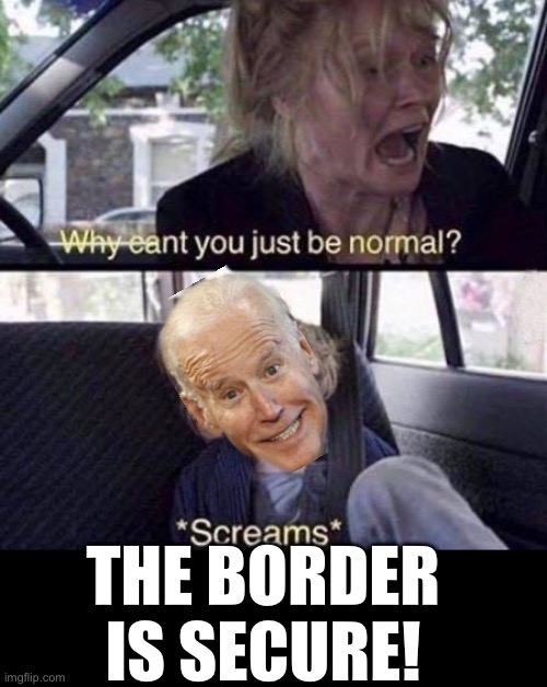 Why Can't You Just Be Normal | THE BORDER IS SECURE! | image tagged in why can't you just be normal | made w/ Imgflip meme maker