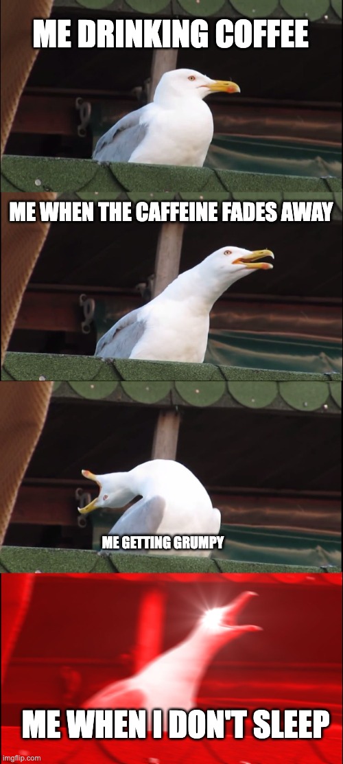 Inhaling Seagull Meme | ME DRINKING COFFEE; ME WHEN THE CAFFEINE FADES AWAY; ME GETTING GRUMPY; ME WHEN I DON'T SLEEP | image tagged in memes,inhaling seagull | made w/ Imgflip meme maker