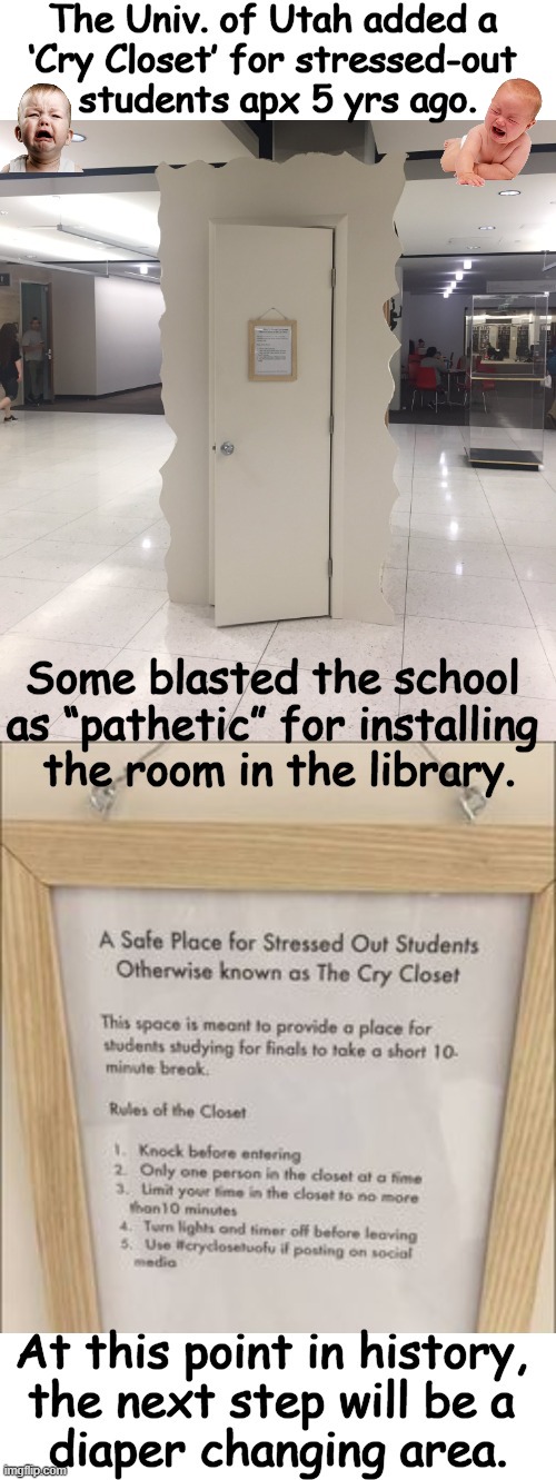 The new American standard...whine, cry, repeat. | image tagged in politics,political humor,liberalism,crying,whining,higher education | made w/ Imgflip meme maker