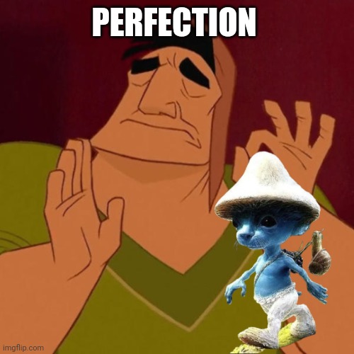 Pacha perfect | PERFECTION | image tagged in pacha perfect | made w/ Imgflip meme maker