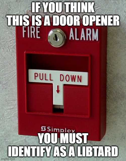 Libtard Door Opener | IF YOU THINK THIS IS A DOOR OPENER; YOU MUST IDENTIFY AS A LIBTARD | image tagged in libtard door opener | made w/ Imgflip meme maker