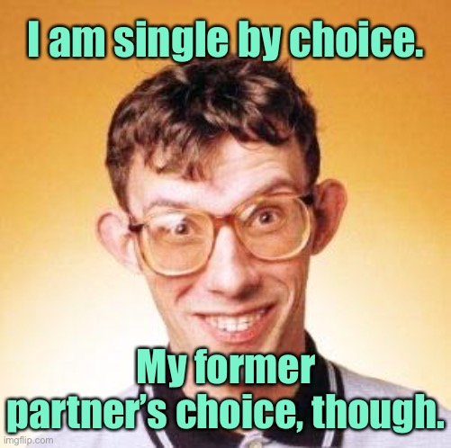 I am single | I am single by choice. My former partner’s choice, though. | image tagged in nerd,i am single,by choice,former partners choice,fun | made w/ Imgflip meme maker