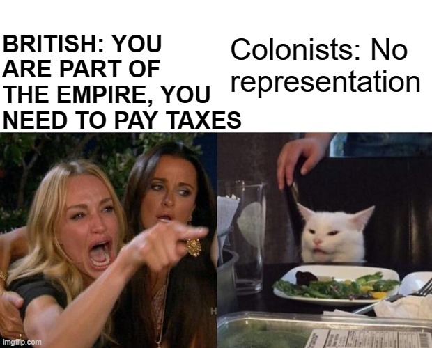 Woman Yelling At Cat | BRITISH: YOU ARE PART OF THE EMPIRE, YOU NEED TO PAY TAXES; Colonists: No representation | image tagged in memes,woman yelling at cat,historical meme | made w/ Imgflip meme maker