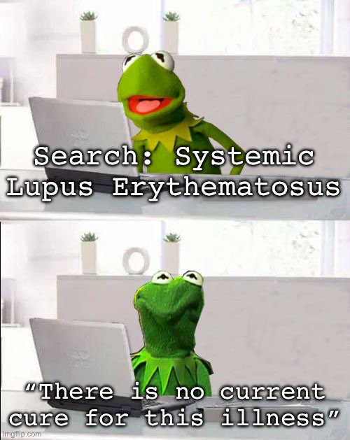 SLE Search | Search: Systemic Lupus Erythematosus; “There is no current cure for this illness” | image tagged in hide the pain kermit | made w/ Imgflip meme maker
