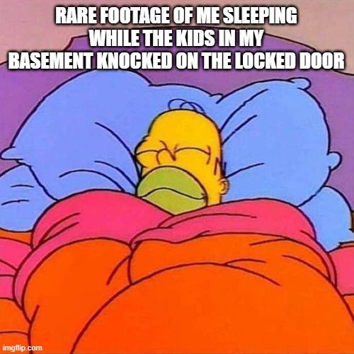 Sweet sound... | RARE FOOTAGE OF ME SLEEPING WHILE THE KIDS IN MY BASEMENT KNOCKED ON THE LOCKED DOOR | image tagged in homer napping | made w/ Imgflip meme maker