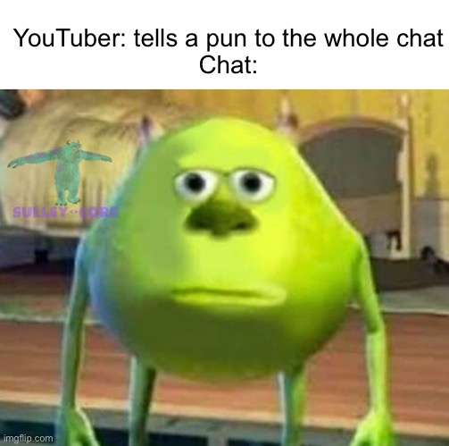 ??? | YouTuber: tells a pun to the whole chat
Chat: | image tagged in monsters inc,memes | made w/ Imgflip meme maker