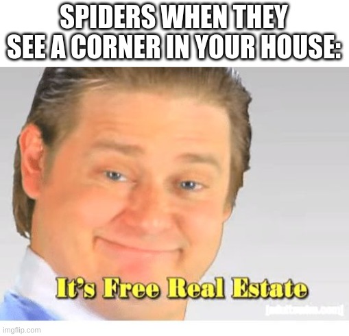 relatable? | SPIDERS WHEN THEY SEE A CORNER IN YOUR HOUSE: | image tagged in it's free real estate | made w/ Imgflip meme maker