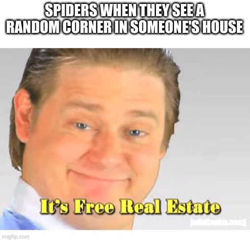 fr | SPIDERS WHEN THEY SEE A RANDOM CORNER IN SOMEONE'S HOUSE | image tagged in it's free real estate | made w/ Imgflip meme maker