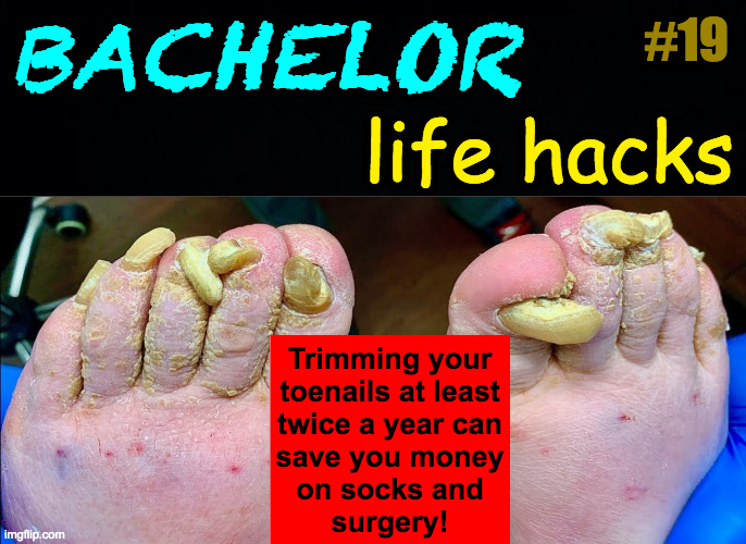 Jesus' remonstrance to Judas on feet-washing day. | #19; BACHELOR; life hacks; Trimming your
toenails at least
twice a year can
save you money
on socks and
surgery! | image tagged in memes,bachelor life hacks | made w/ Imgflip meme maker