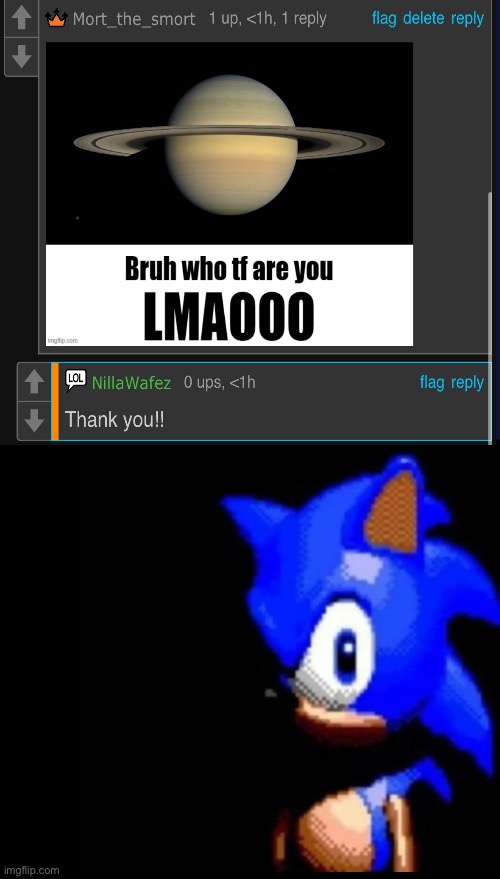 Bros confused | image tagged in memes,funny,sonic | made w/ Imgflip meme maker