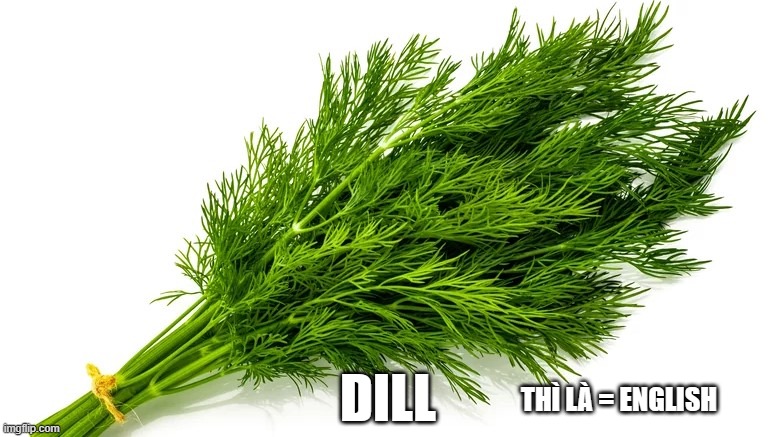DILL; THÌ LÀ = ENGLISH | made w/ Imgflip meme maker