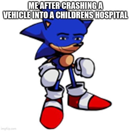 sonic man face | ME AFTER CRASHING A VEHICLE INTO A CHILDRENS HOSPITAL | image tagged in sonic man face | made w/ Imgflip meme maker
