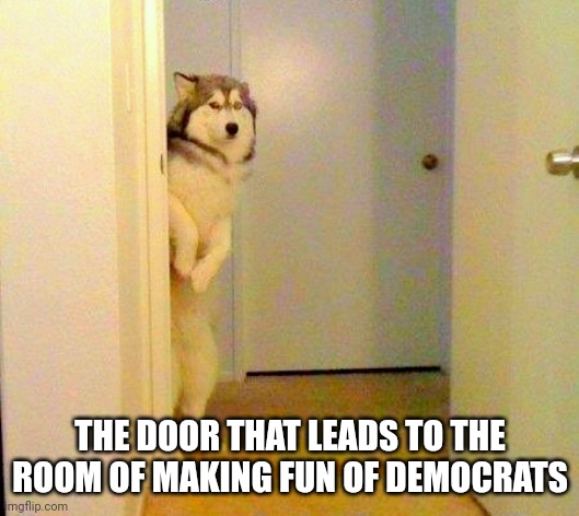 Husky peeking in doorway  | THE DOOR THAT LEADS TO THE ROOM OF MAKING FUN OF DEMOCRATS | image tagged in husky peeking in doorway | made w/ Imgflip meme maker