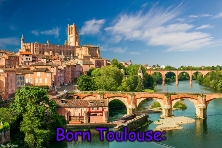 French cities | Born Toulouse: | image tagged in puns | made w/ Imgflip meme maker
