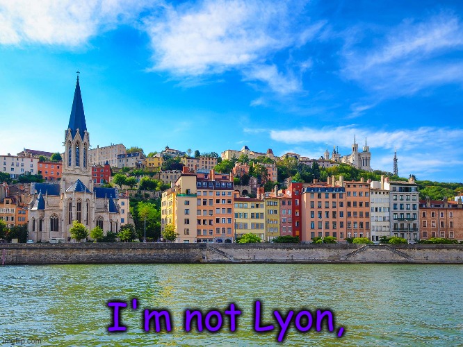 French cities | I'm not Lyon, | image tagged in puns | made w/ Imgflip meme maker