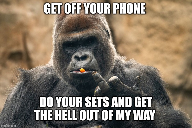 gym | GET OFF YOUR PHONE; DO YOUR SETS AND GET THE HELL OUT OF MY WAY | image tagged in gym memes | made w/ Imgflip meme maker