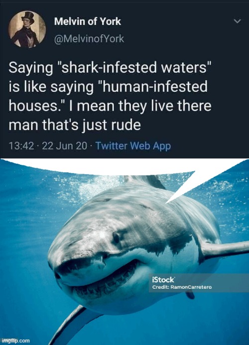 A shark saying this stuff | image tagged in sharks,twitter | made w/ Imgflip meme maker
