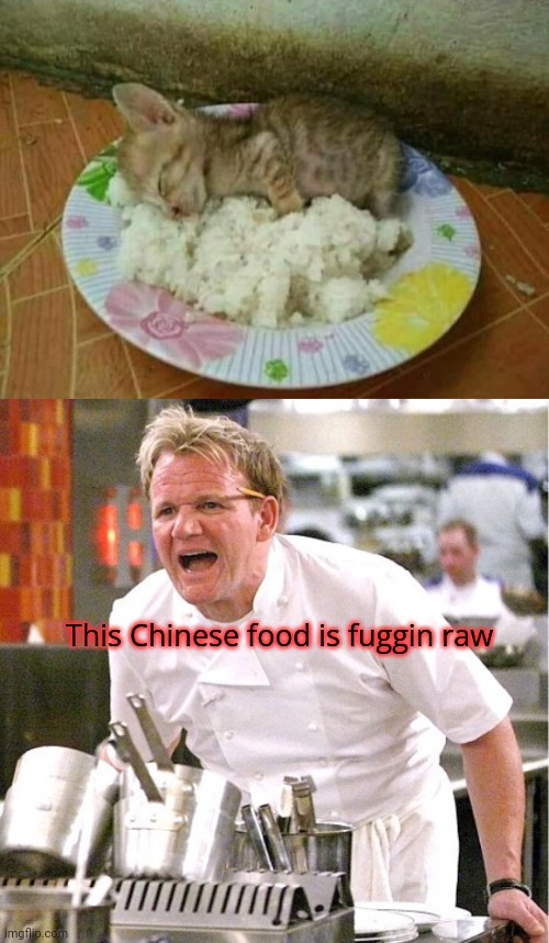 You forgot to cook this | This Chinese food is fuggin raw | image tagged in gordon ramsay it's raw,you forgot,to cook this | made w/ Imgflip meme maker