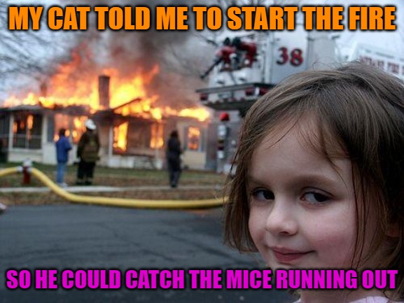 Disaster Girl | MY CAT TOLD ME TO START THE FIRE; SO HE COULD CATCH THE MICE RUNNING OUT | image tagged in memes,disaster girl | made w/ Imgflip meme maker