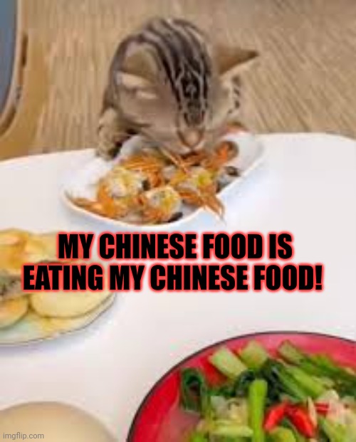Don't touch my food | MY CHINESE FOOD IS EATING MY CHINESE FOOD! | image tagged in chinese,food,nom nom nom | made w/ Imgflip meme maker