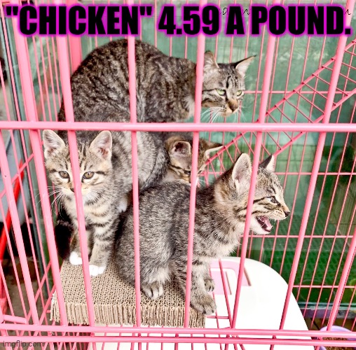 "CHICKEN" 4.59 A POUND. | made w/ Imgflip meme maker