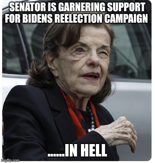 Ding dong the witch is dead... | SENATOR IS GARNERING SUPPORT FOR BIDENS REELECTION CAMPAIGN; ......IN HELL | image tagged in senator diane feinstein | made w/ Imgflip meme maker