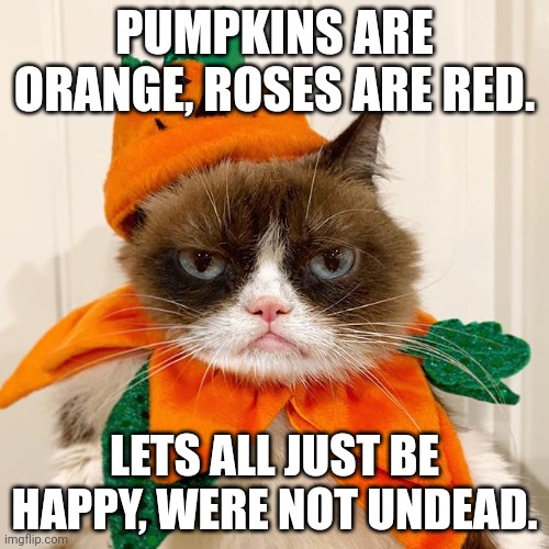 Happy halloween, guys!!!! | PUMPKINS ARE ORANGE, ROSES ARE RED. LETS ALL JUST BE HAPPY, WERE NOT UNDEAD. | image tagged in grumpy cat halloween | made w/ Imgflip meme maker