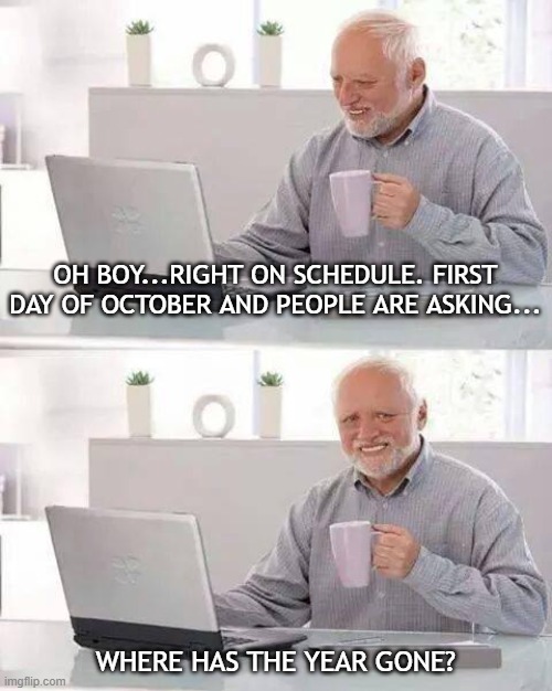 Year Be Gone | OH BOY...RIGHT ON SCHEDULE. FIRST DAY OF OCTOBER AND PEOPLE ARE ASKING... WHERE HAS THE YEAR GONE? | image tagged in memes,hide the pain harold | made w/ Imgflip meme maker
