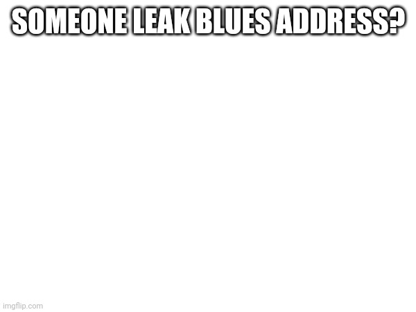 SOMEONE LEAK BLUES ADDRESS? | made w/ Imgflip meme maker