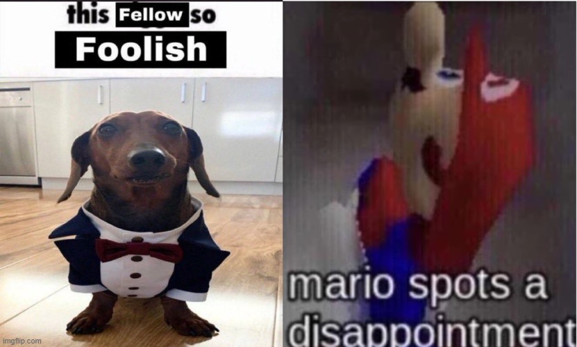 image tagged in this fellow is so foolish,mario spots a disappointment | made w/ Imgflip meme maker