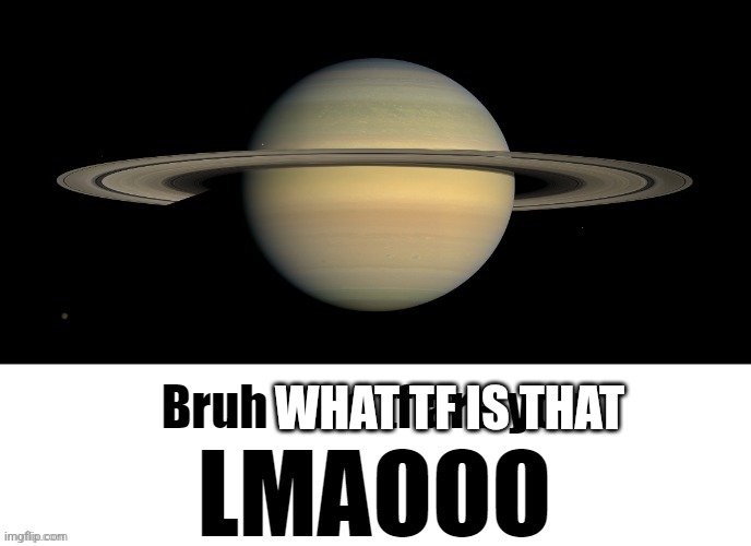 Bruh who tf are you LMAOOO | WHAT TF IS THAT | image tagged in bruh who tf are you lmaooo | made w/ Imgflip meme maker