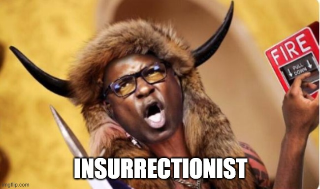 Insurrectionist | INSURRECTIONIST | image tagged in january,january 6th,insurrectionist,dnc,jamaal | made w/ Imgflip meme maker