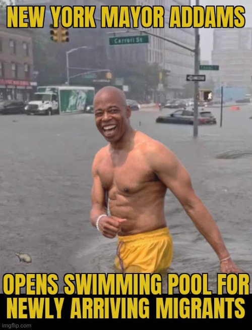 FLOODED NYC | image tagged in new york city,mayor,illegal immigration,flooded | made w/ Imgflip meme maker