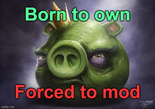 . | Born to own; Forced to mod | image tagged in angry birds realistic king pig | made w/ Imgflip meme maker